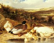 Mallard Ducks and Ducklings on a River Bank - 约翰·弗雷德里克·赫尔林